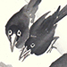 Multiple Artists Gallery